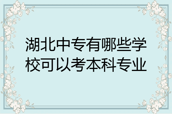 湖北中专有哪些学校可以考本科专业