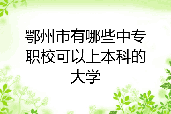 鄂州市有哪些中专职校可以上本科的大学