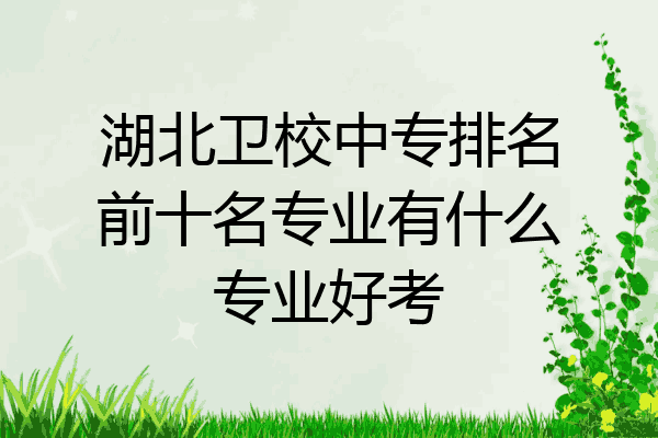 湖北卫校中专排名前十名专业有什么专业好考