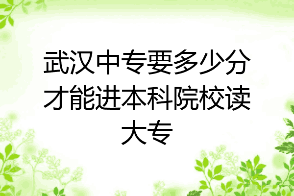 武汉中专要多少分才能进本科院校读大专