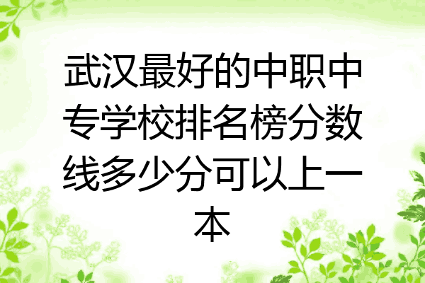 武汉最好的中职中专学校排名榜分数线多少分可以上一本