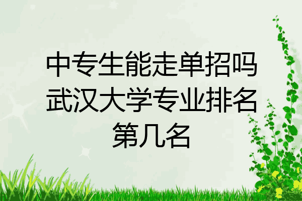 中专生能走单招吗武汉大学专业排名第几名