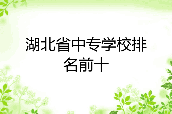 湖北省中专学校排名前十