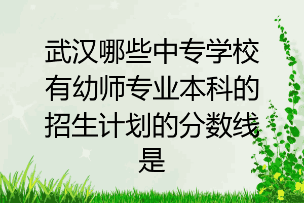 武汉哪些中专学校有幼师专业本科的招生计划的分数线是