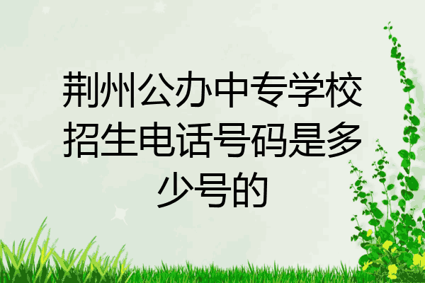 荆州公办中专学校招生电话号码是多少号的