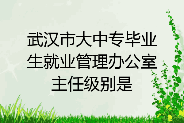 武汉市大中专毕业生就业管理办公室主任级别是
