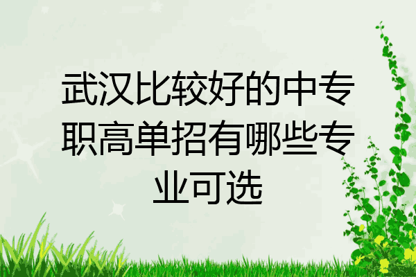 武汉比较好的中专职高单招有哪些专业可选