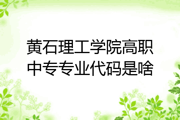 黄石理工学院高职中专专业代码是啥
