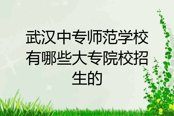 武汉中专师范学校有哪些大专院校招生的