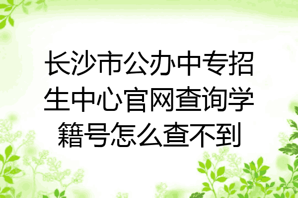 长沙市公办中专招生中心官网查询学籍号怎么查不到