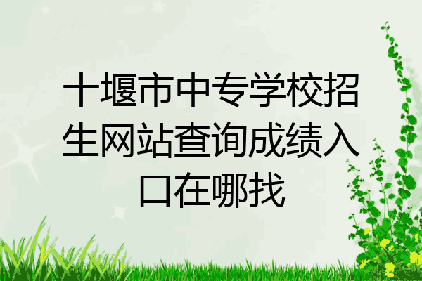 十堰市中专学校招生网站查询成绩入口在哪找