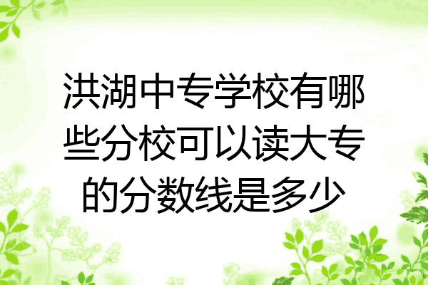 洪湖中专学校有哪些分校可以读大专的分数线是多少