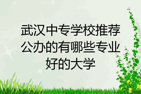 武汉中专学校推荐公办的有哪些专业好的大学