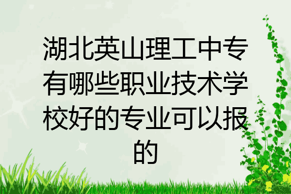 湖北英山理工中专有哪些职业技术学校好的专业可以报的