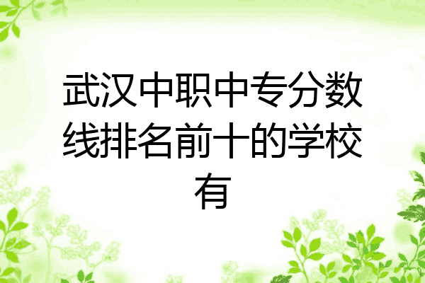 武汉中职中专分数线排名前十的学校有