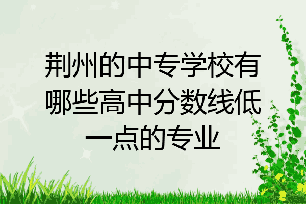 荆州的中专学校有哪些高中分数线低一点的专业