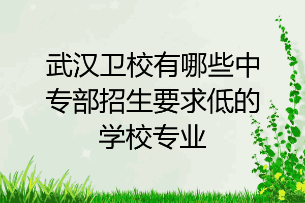 武汉卫校有哪些中专部招生要求低的学校专业