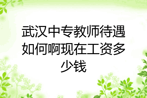武汉中专教师待遇如何啊现在工资多少钱