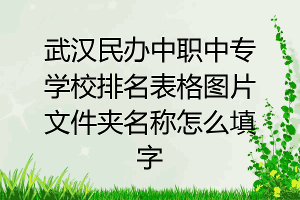 武汉民办中职中专学校排名表格图片文件夹名称怎么填字