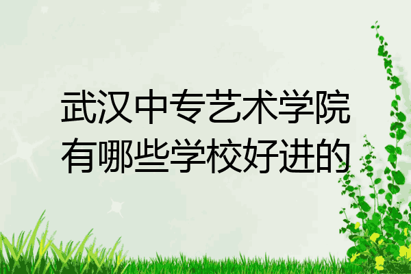 武汉中专艺术学院有哪些学校好进的