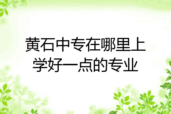 黄石中专在哪里上学好一点的专业