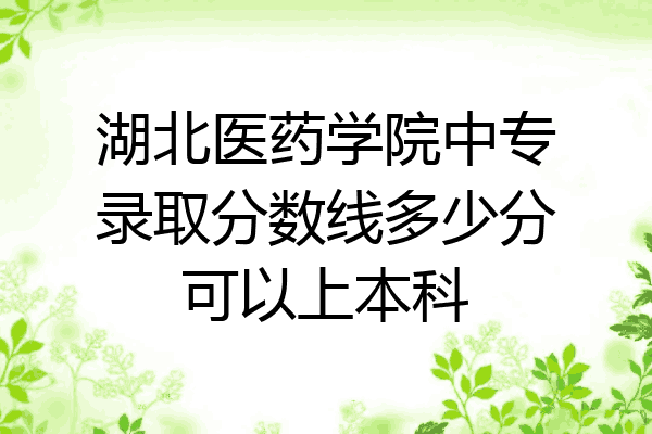 湖北医药学院中专录取分数线多少分可以上本科