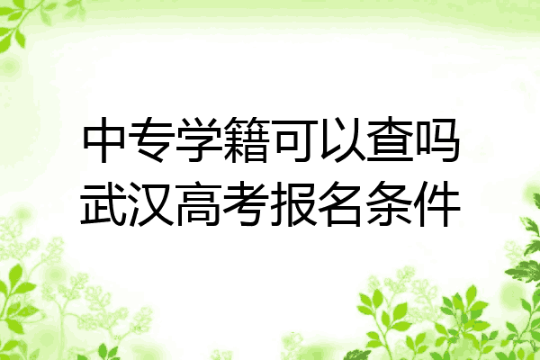 中专学籍可以查吗武汉高考报名条件