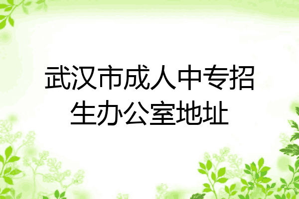 武汉市成人中专招生办公室地址
