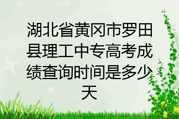 湖北省黄冈市罗田县理工中专高考成绩查询时间是多少天