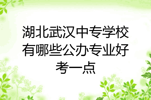 湖北武汉中专学校有哪些公办专业好考一点