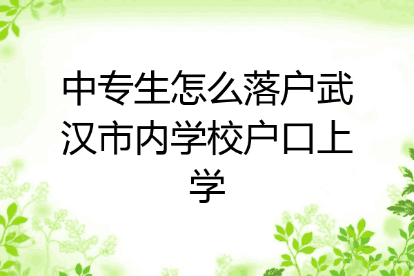 中专生怎么落户武汉市内学校户口上学