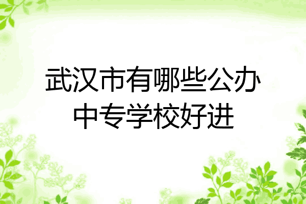 武汉市有哪些公办中专学校好进
