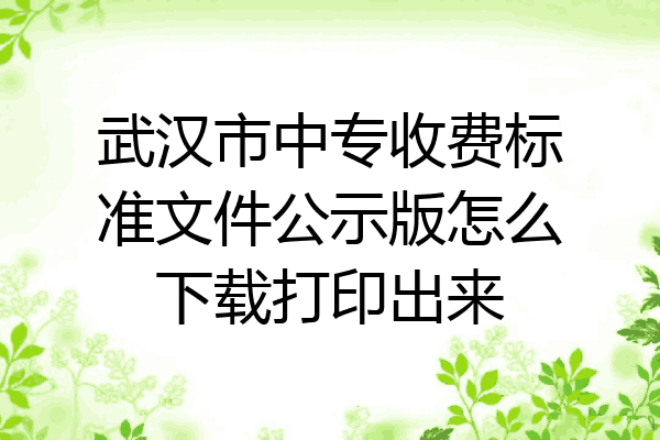 武汉市中专收费标准文件公示版怎么下载打印出来