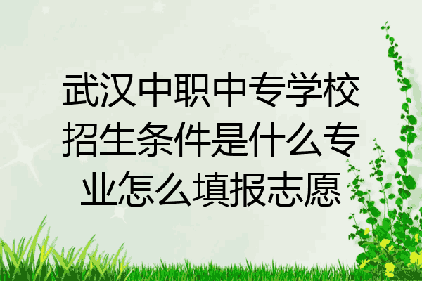 武汉中职中专学校招生条件是什么专业怎么填报志愿