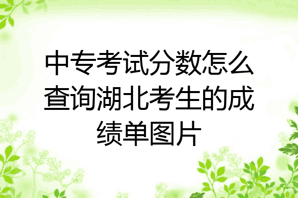 中专考试分数怎么查询湖北考生的成绩单图片