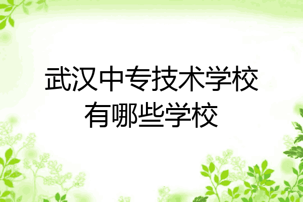 武汉中专技术学校有哪些学校