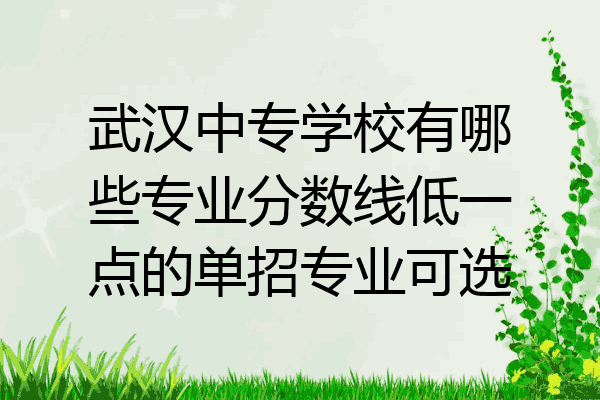 武汉中专学校有哪些专业分数线低一点的单招专业可选