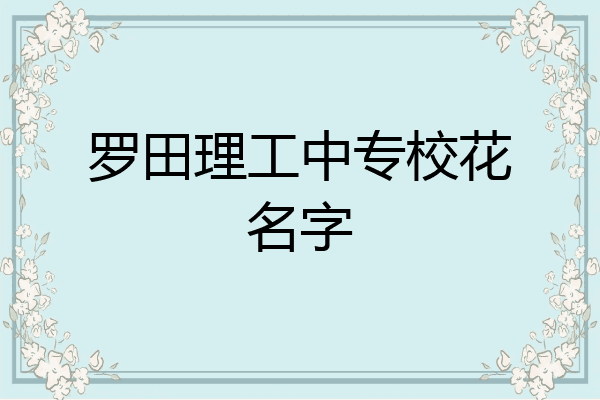 罗田理工中专校花名字