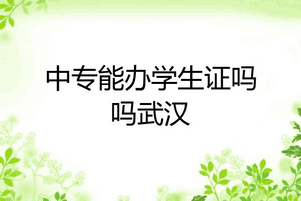 中专能办学生证吗吗武汉