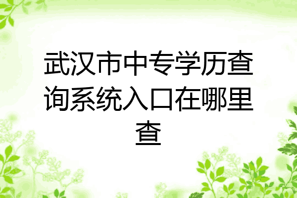 武汉市中专学历查询系统入口在哪里查