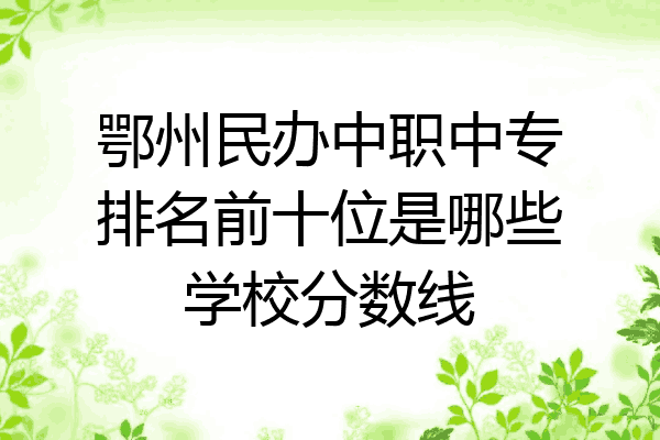 鄂州民办中职中专排名前十位是哪些学校分数线
