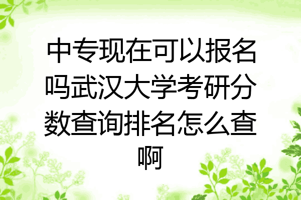 中专现在可以报名吗武汉大学考研分数查询排名怎么查啊