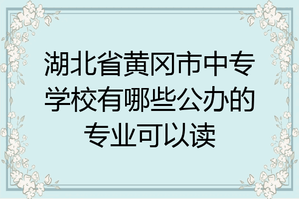 湖北省黄冈市中专学校有哪些公办的专业可以读