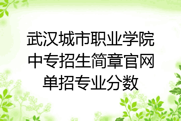 武汉城市职业学院中专招生简章官网单招专业分数