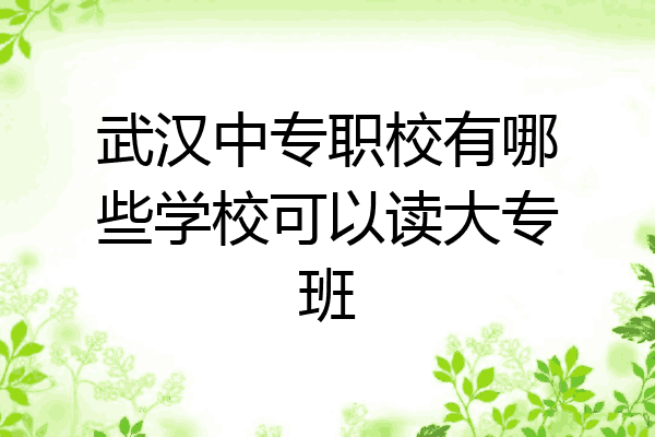 武汉中专职校有哪些学校可以读大专班