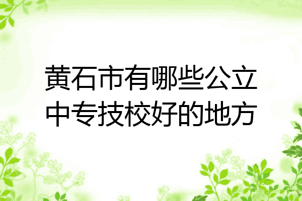 黄石市有哪些公立中专技校好的地方