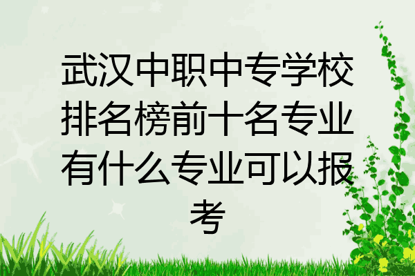 武汉中职中专学校排名榜前十名专业有什么专业可以报考