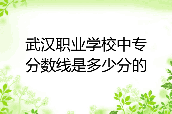 武汉职业学校中专分数线是多少分的