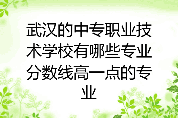 武汉的中专职业技术学校有哪些专业分数线高一点的专业