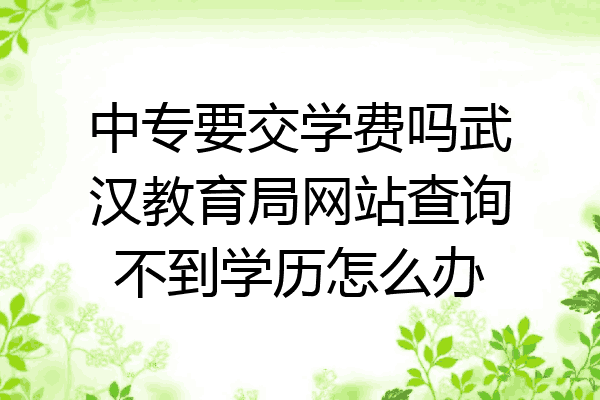 中专要交学费吗武汉教育局网站查询不到学历怎么办